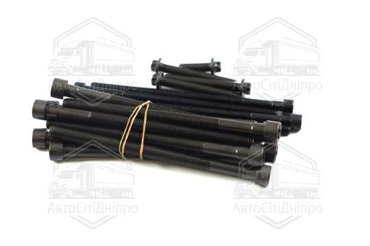 Комплект болтів головки блоку циліндрів 18 шт BMW N55 B30 (вир-во Elring)