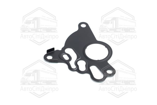 Прокладка насоса VAG 2.0TDI BKD/BKP/BMN/BUY (вир-во Elring)