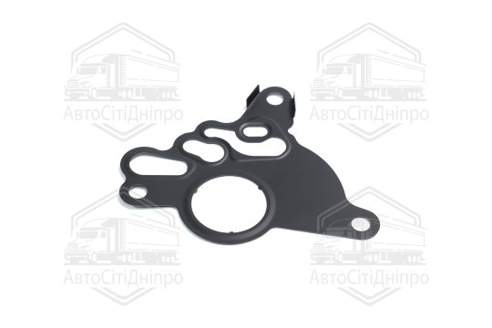 Прокладка насоса VAG 2.0TDI BKD/BKP/BMN/BUY (вир-во Elring)