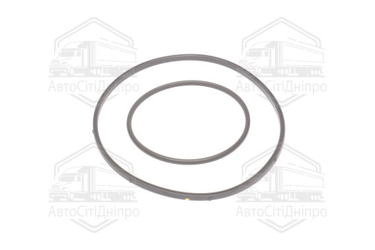 Комплект прокладок, вакуумний насос BMW N42/N46 (вир-во Elring)