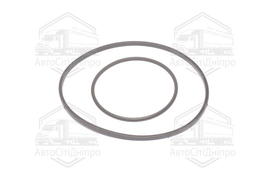 Комплект прокладок, вакуумний насос BMW N42/N46 (вир-во Elring)