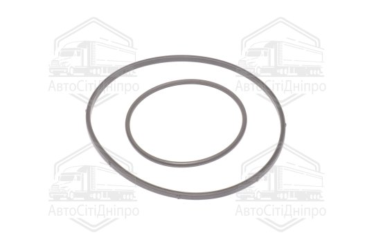 Комплект прокладок, вакуумний насос BMW N42/N46 (вир-во Elring)