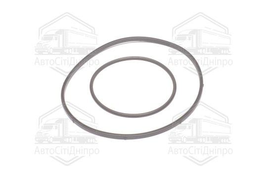 Комплект прокладок, вакуумний насос BMW N42/N46 (вир-во Elring)