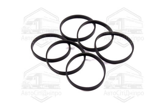 Комплект прокладок, впускний колектор BMW N51/N52/N53/N54 (вир-во Elring)