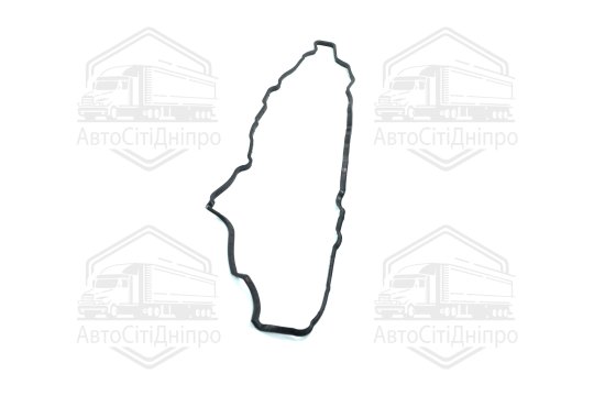 Прокладка, кришка головки циліндра MAZDA 2,2 D 12- (вир-во Elring)