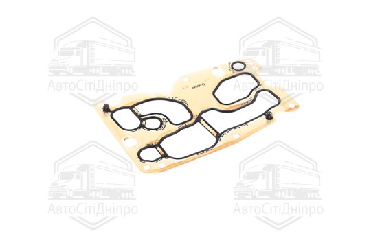Прокладка, масляний радіатор BMW 1.6D/2.0D/3.0D N47D16/N47D20/N57D30 06- (вир-во Elring)