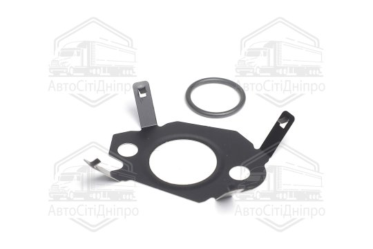 Комплект прокладок, система EGR PSA 2,0/2,2 HDi DW10/DW12 (вир-во Elring)