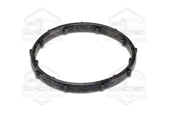 Кільце ущільнююче, термостат Chrysler/JEEP 3,6 V6 10- (вир-во Elring)