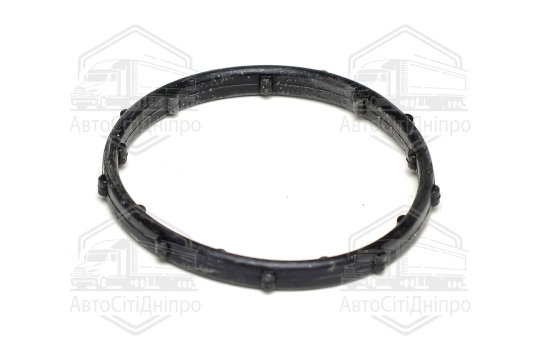 Кільце ущільнююче, термостат Chrysler/JEEP 3,6 V6 10- (вир-во Elring)