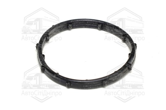 Кільце ущільнююче, термостат Chrysler/JEEP 3,6 V6 10- (вир-во Elring)