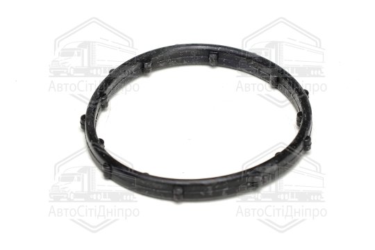 Кільце ущільнююче, термостат Chrysler/JEEP 3,6 V6 10- (вир-во Elring)