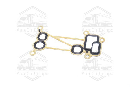 Прокладка масляного радіатора BMW 3,0TDI N57 D30 08- (вир-во Elring)