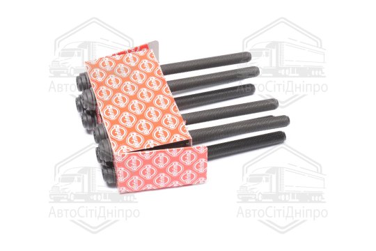 Комплект болтів головки цилідра VAG 3.0 TDI V6 (2) (вир-во Elring)