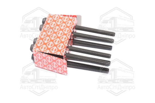 Комплект болтів головки цилідра VAG 3.0 TDI V6 (2) (вир-во Elring)