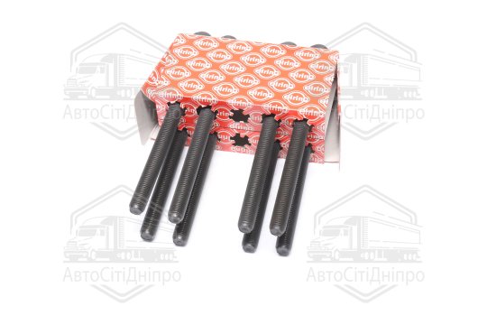 Комплект болтів головки цилідра VAG 3.0 TDI V6 (2) (вир-во Elring)