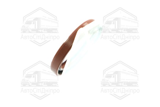 Сальник двигуна N BMW M20/M21/M40, TOYOTA 3S-FE/5S-FE/5VZ-FE 38X50X7