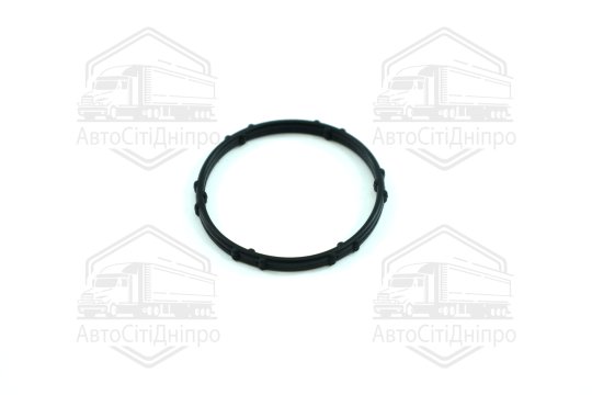 Прокладка, фланець охолоджувальної рідини FIAT/RENAULT 1,6 dCi R9M (вир-во Elring)