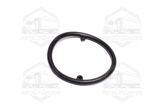 Ущільнення VAG ПР. ОЛІЇ. РАДІАТОРА 59X5 AEM PR (вир-во Elring)