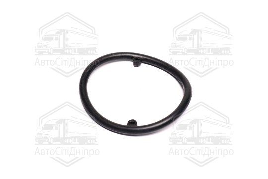 Ущільнення VAG ПР. ОЛІЇ. РАДІАТОРА 59X5 AEM PR (вир-во Elring)