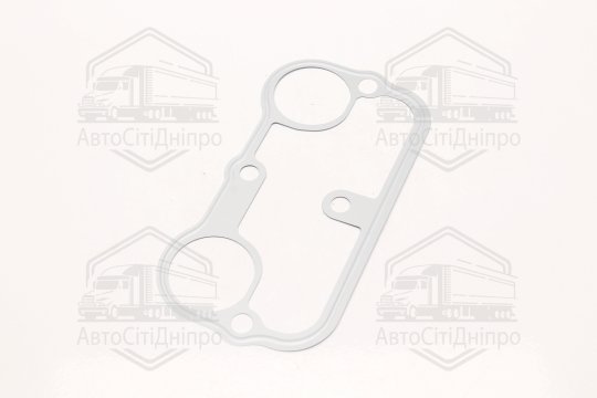 Прокладка колодязів свічок BMW N20/N55 (2-3) 08- (вир-во Elring)