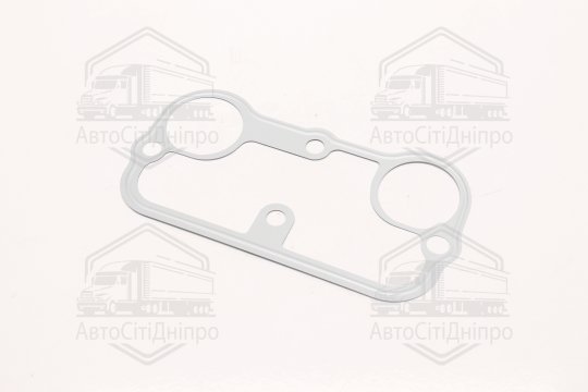 Прокладка колодязів свічок BMW N20/N55 (2-3) 08- (вир-во Elring)