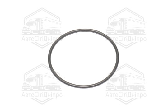 Прокладка, термостат BMW 55,25*60,49*2,62 mm (вир-во Elring)