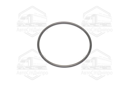Прокладка, термостат BMW 55,25*60,49*2,62 mm (вир-во Elring)