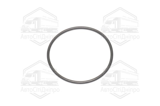 Прокладка, термостат BMW 55,25*60,49*2,62 mm (вир-во Elring)