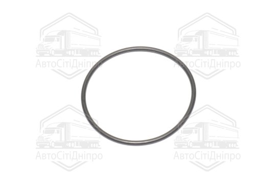Прокладка, термостат BMW 55,25*60,49*2,62 mm (вир-во Elring)