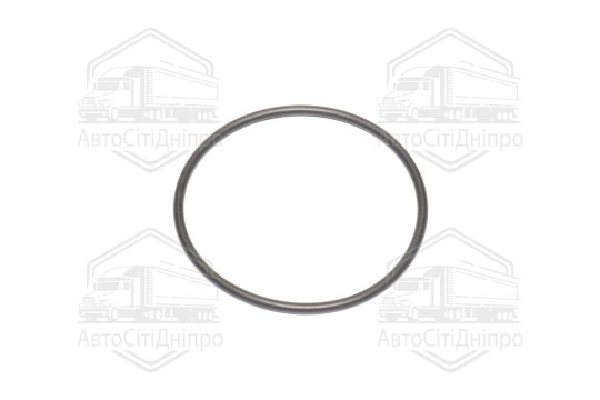 Прокладка, термостат BMW 55,25*60,49*2,62 mm (вир-во Elring)
