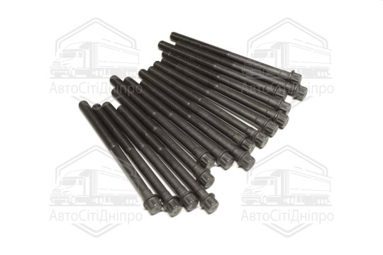 Комплект болтів головки блоку 16 шт Hyundai/Kia 2,5/2,7 V6 24V G6BA/G6BV/G6EA/L6BA/L6EA (вир-во Elri