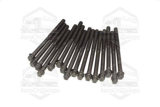 Комплект болтів головки блоку 16 шт Hyundai/Kia 2,5/2,7 V6 24V G6BA/G6BV/G6EA/L6BA/L6EA (вир-во Elri
