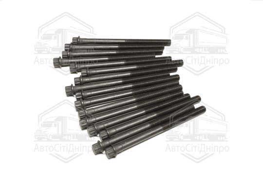 Комплект болтів головки блоку 16 шт Hyundai/Kia 2,5/2,7 V6 24V G6BA/G6BV/G6EA/L6BA/L6EA (вир-во Elri