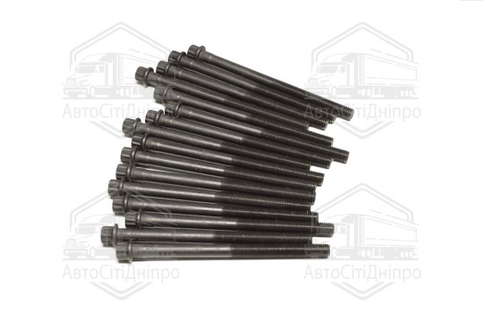 Комплект болтів головки блоку 16 шт Hyundai/Kia 2,5/2,7 V6 24V G6BA/G6BV/G6EA/L6BA/L6EA (вир-во Elri