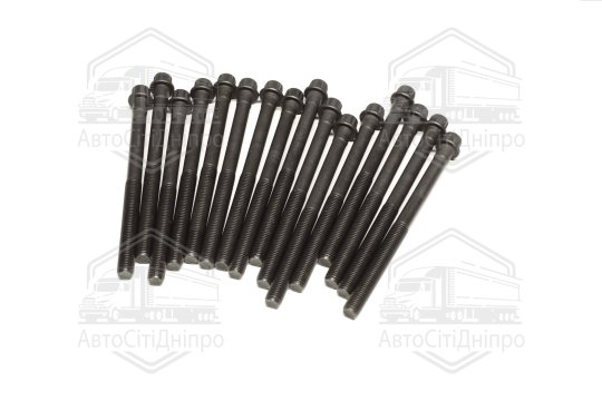 Комплект болтів головки блоку 16 шт Hyundai/Kia 2,5/2,7 V6 24V G6BA/G6BV/G6EA/L6BA/L6EA (вир-во Elri
