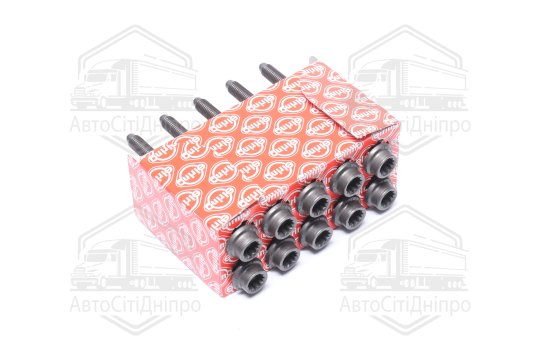 Комплект болтів головки цилідра VAG 1,4 TSI CAXA/CAXC/CMSA/CNUA 06- (вир-во Elring)
