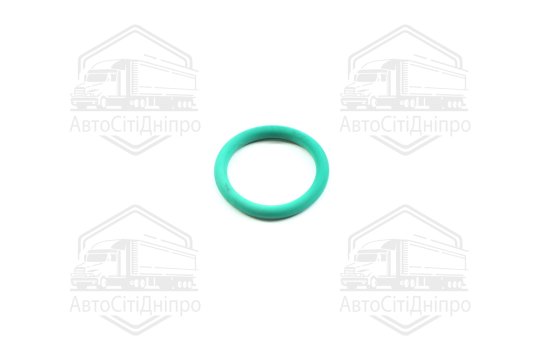Кільце ущільнююче VAG 20 х 3 mm (2) (вир-во Elring)
