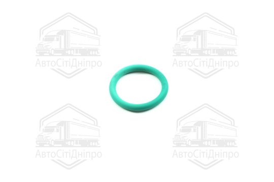 Кільце ущільнююче VAG 20 х 3 mm (2) (вир-во Elring)