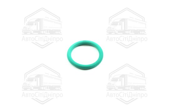 Кільце ущільнююче VAG 20 х 3 mm (2) (вир-во Elring)