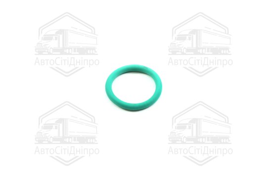 Кільце ущільнююче VAG 20 х 3 mm (2) (вир-во Elring)