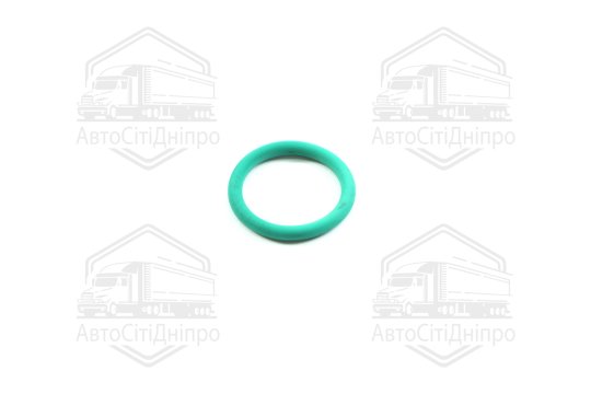 Кільце ущільнююче VAG 20 х 3 mm (2) (вир-во Elring)