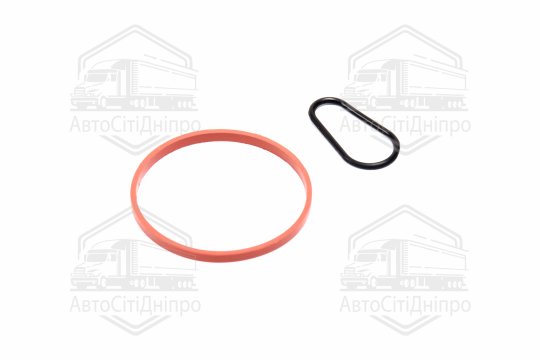 Комплект прокладок, вакуумний насос FORD/PSA 1,5TDCi/1,6HDi DV6FDU 10- (вир-во Elring)