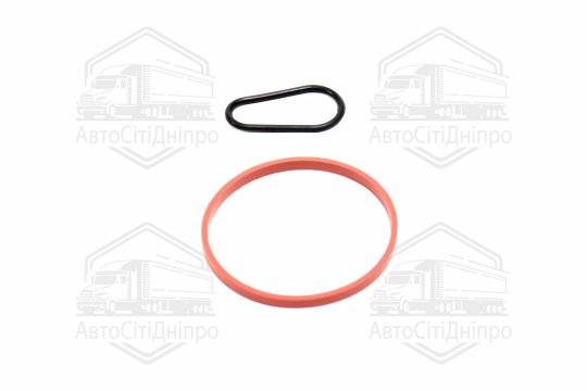 Комплект прокладок, вакуумний насос FORD/PSA 1,5TDCi/1,6HDi DV6FDU 10- (вир-во Elring)