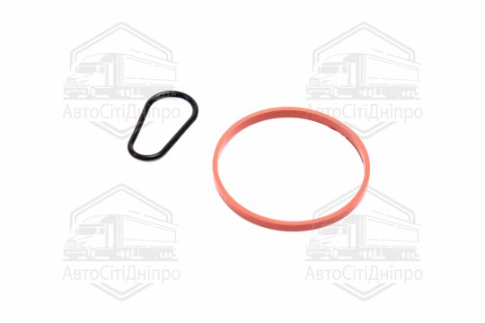 Комплект прокладок, вакуумний насос FORD/PSA 1,5TDCi/1,6HDi DV6FDU 10- (вир-во Elring)