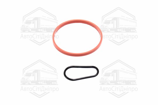 Комплект прокладок, вакуумний насос FORD/PSA 1,5TDCi/1,6HDi DV6FDU 10- (вир-во Elring)