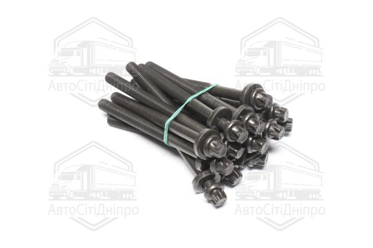 Комплект болтів головки цилідра BMW M51/M57 (вир-во Elring)