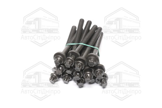 Комплект болтів головки цилідра BMW M51/M57 (вир-во Elring)