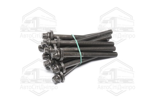 Комплект болтів головки цилідра BMW M51/M57 (вир-во Elring)