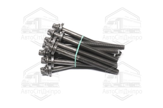 Комплект болтів головки цилідра BMW M51/M57 (вир-во Elring)