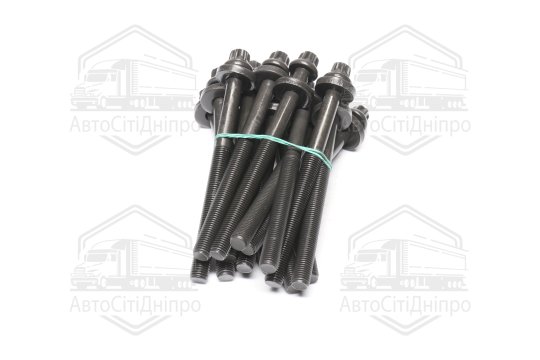 Комплект болтів головки цилідра BMW M51/M57 (вир-во Elring)